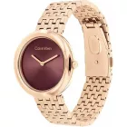 Calvin Klein Twisted Bezel női karóra CK25100067