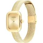 Calvin Klein Adore női karóra CK25100099, arany számlappal, arany nemesacél szíjjal