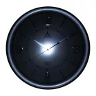 Astron bicolor falióra 3547-0